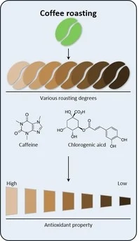 antioxidantes en el cafe tostado