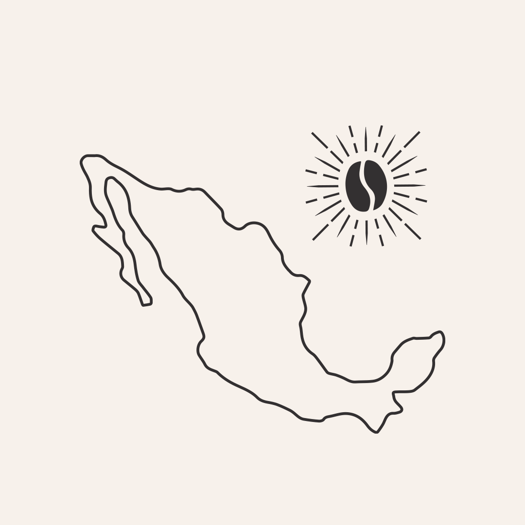 envios a todo mexico